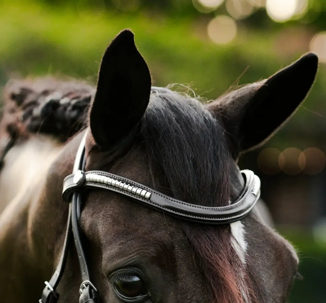 Lumiere Perseus Convertible Bridle