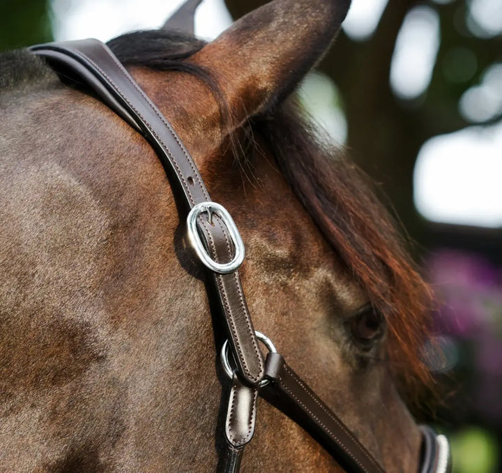 Lumiere Perseus Halter