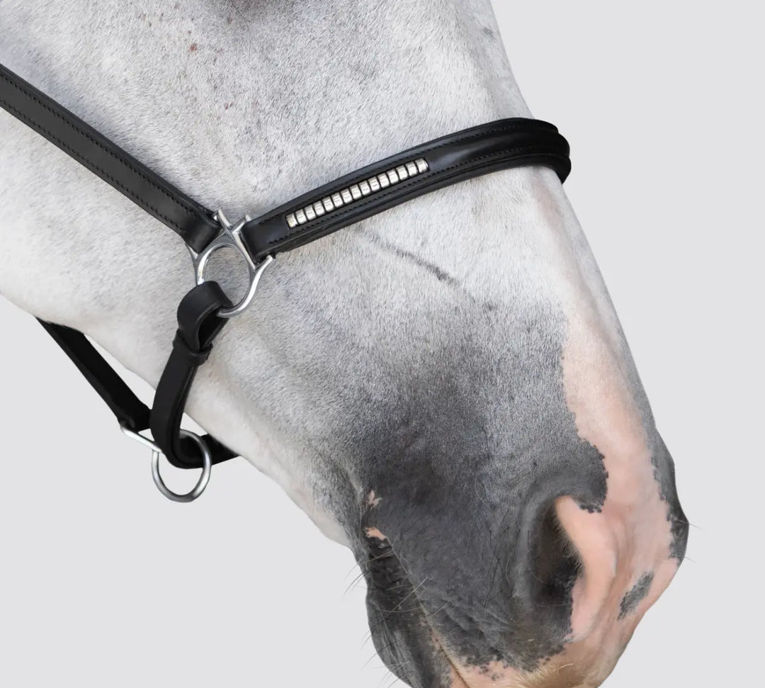 Lumiere Perseus Halter