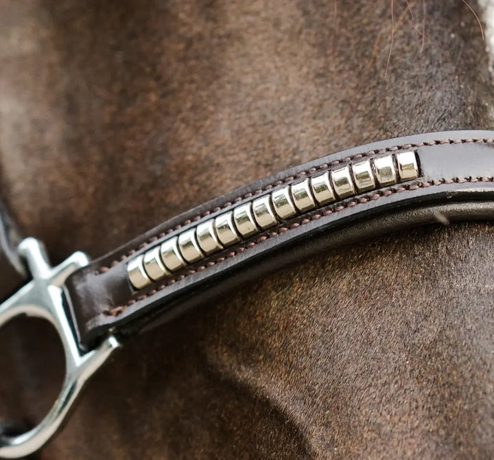 Lumiere Perseus Halter