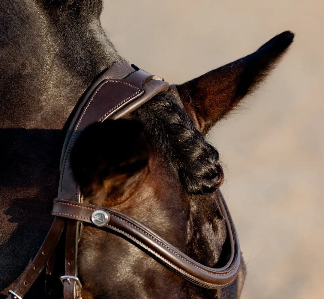 Lumiere Pia Figure 8 Bridle Lumiere