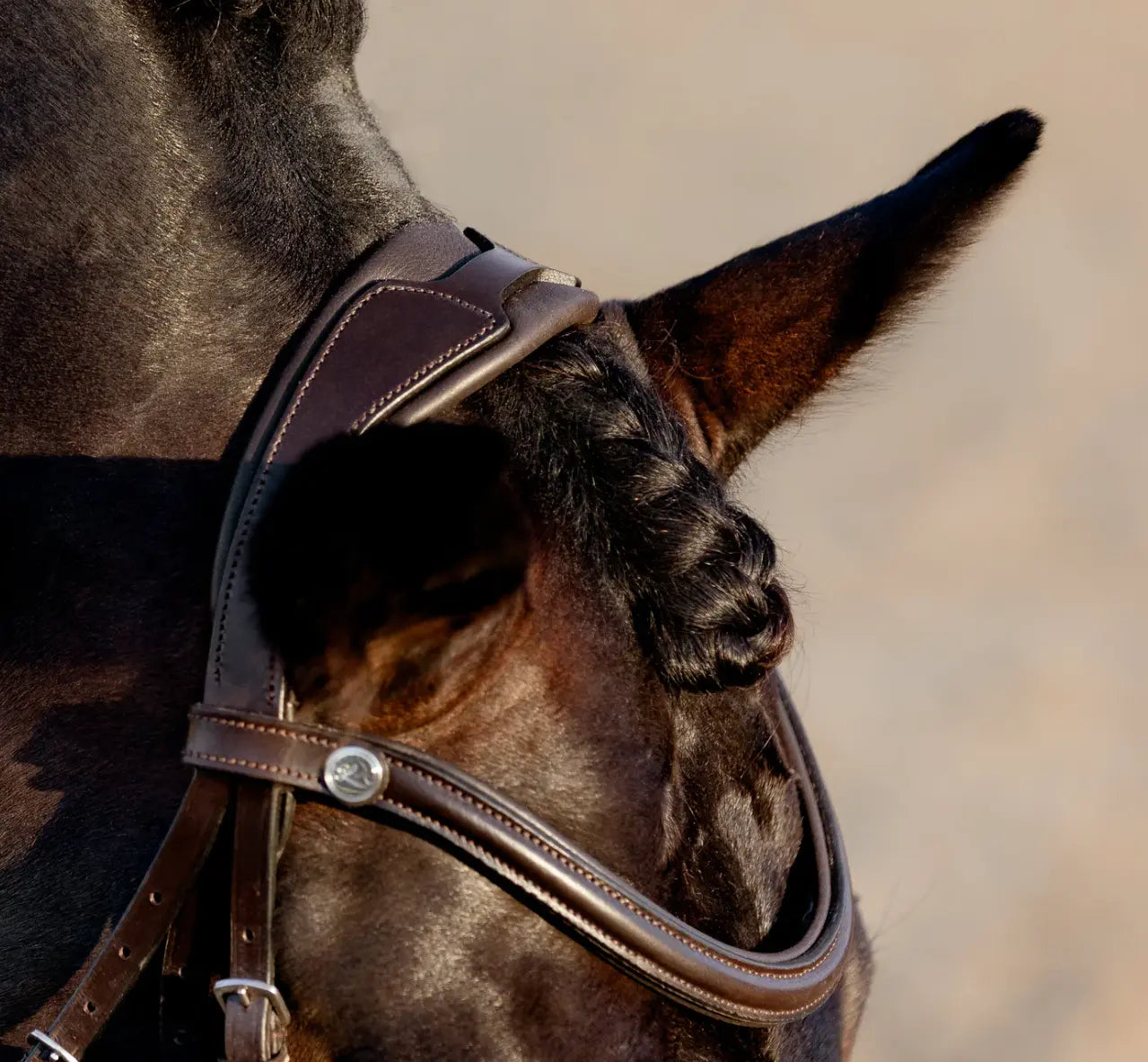 Lumiere Pia Figure 8 Bridle Lumiere