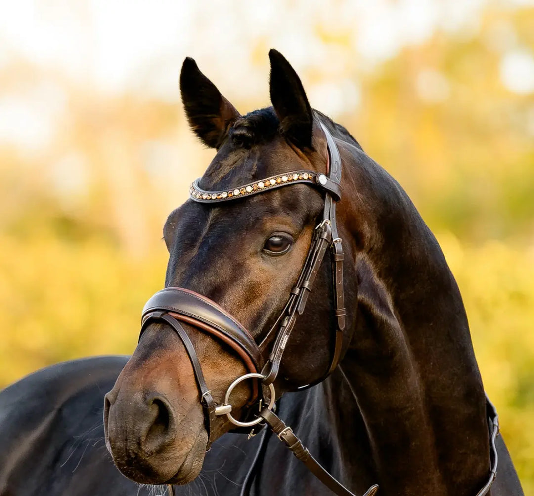 Lumiere Pippa Snaffle Bridle