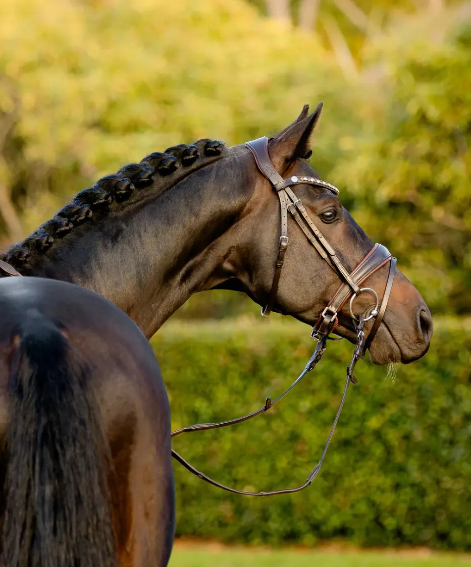Lumiere Pippa Snaffle Bridle