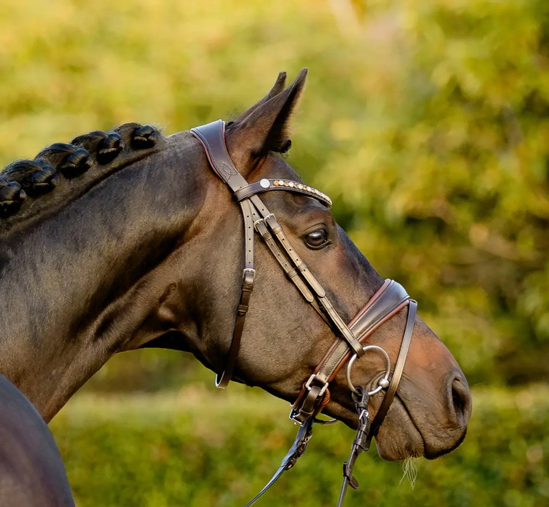 Lumiere Pippa Snaffle Bridle