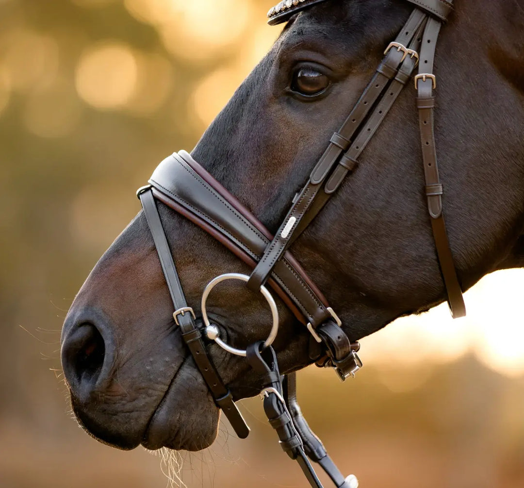 Lumiere Pippa Snaffle Bridle