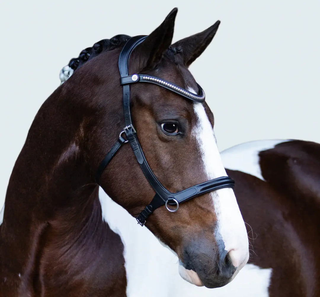 Lumiere Santiago Bitless Bridle Lumiere