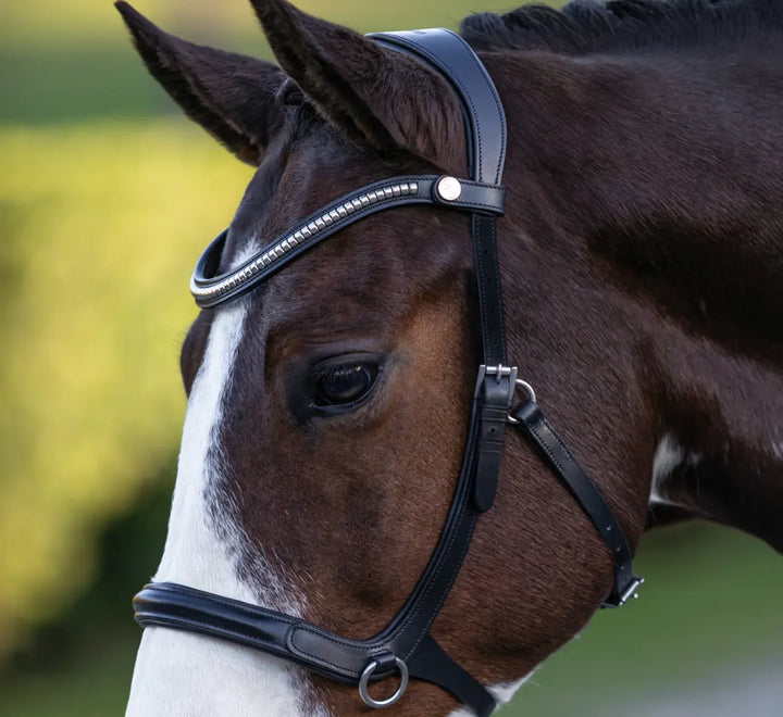 Lumiere Santiago Bitless Bridle
