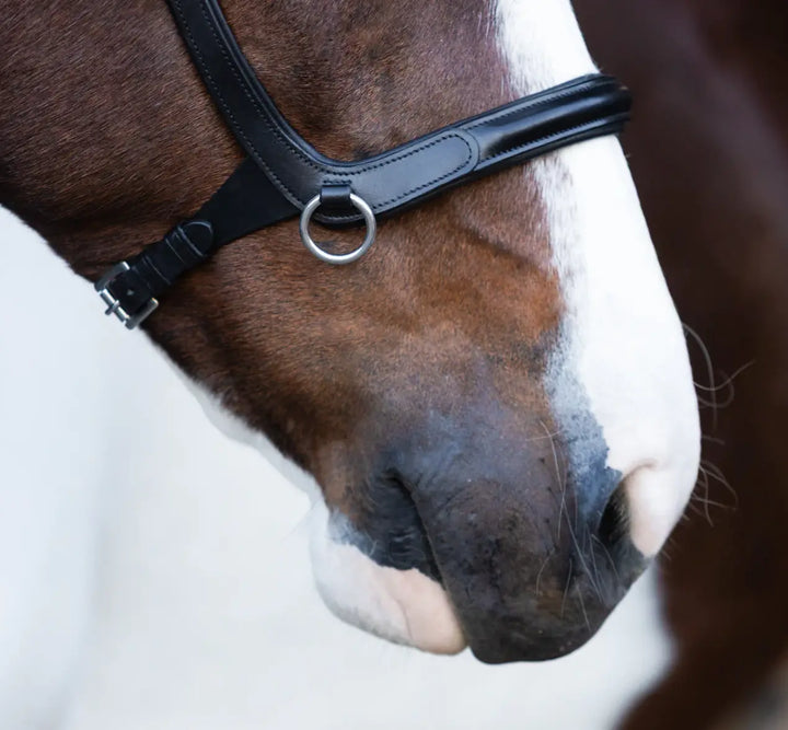 Lumiere Santiago Bitless Bridle