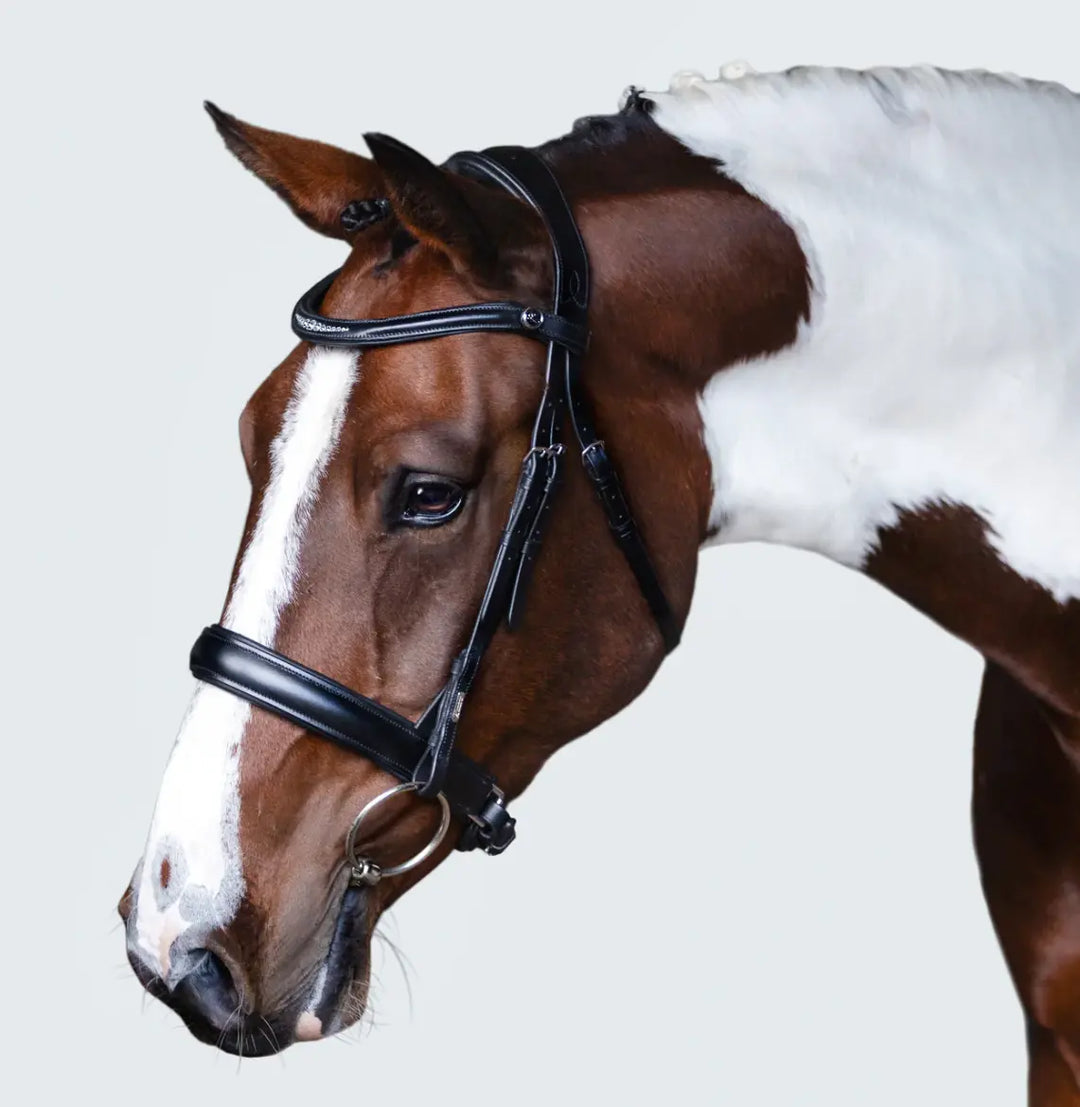 Lumiere Stella Snaffle Bridle Lumiere