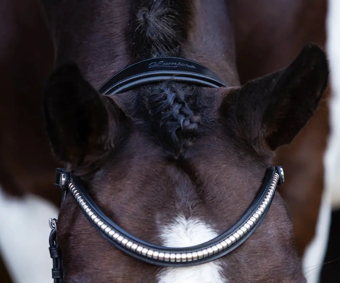 Lumiere Stella Snaffle Bridle