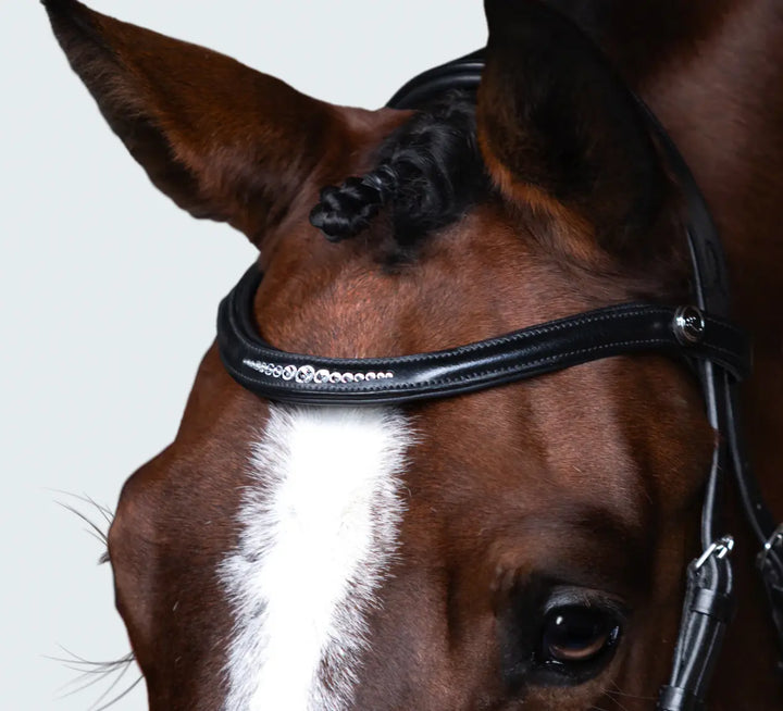Lumiere Stella Snaffle Bridle