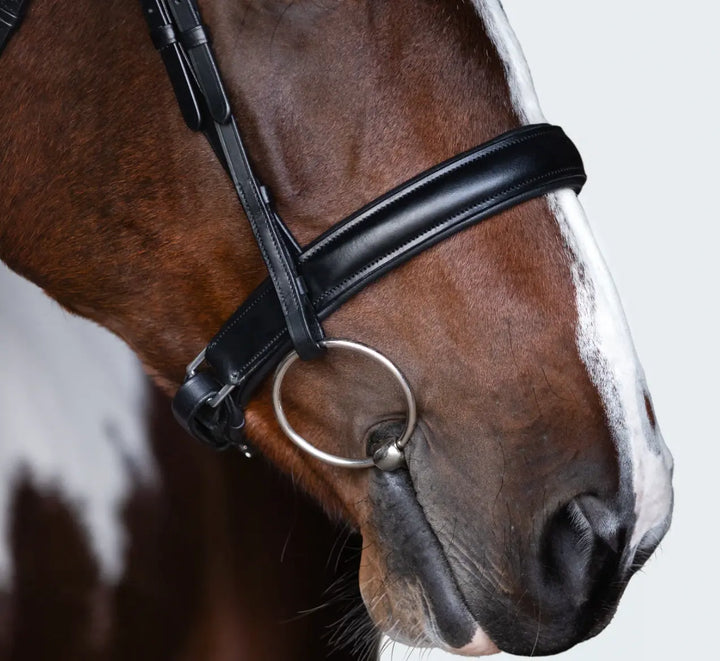 Lumiere Stella Snaffle Bridle