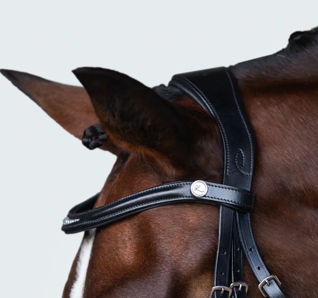 Lumiere Stella Snaffle Bridle