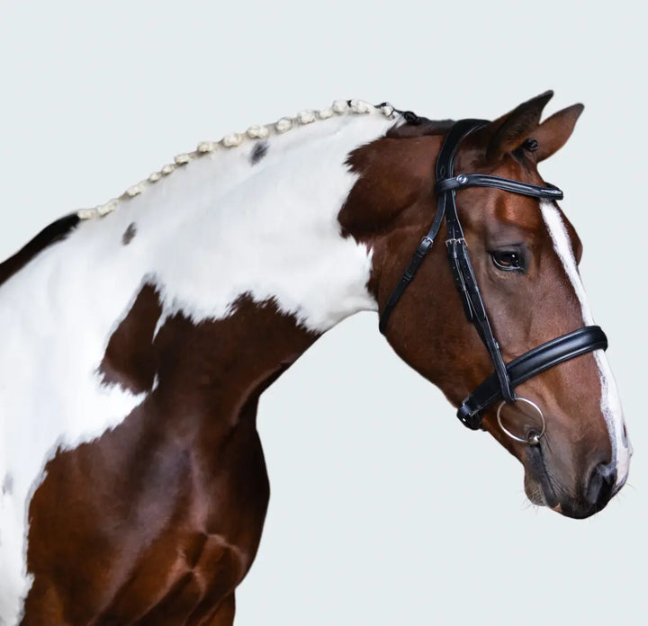Lumiere Stella Snaffle Bridle