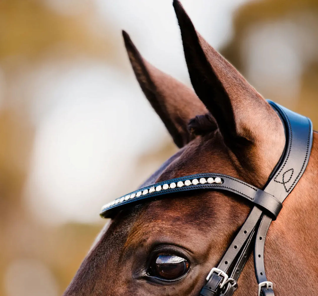 Lumiere Swarovski Crystal Snap Browband Lumiere