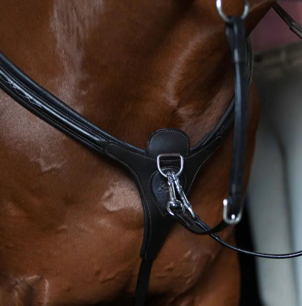 Lumiere Victory 3-Point Leather Breastplate