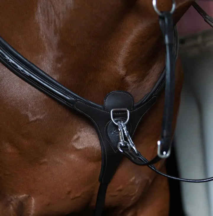Lumiere Victory 3-Point Leather Breastplate
