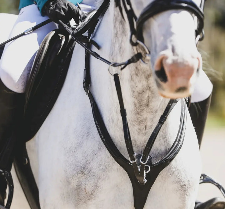 Lumiere Victory 3-Point Leather Breastplate