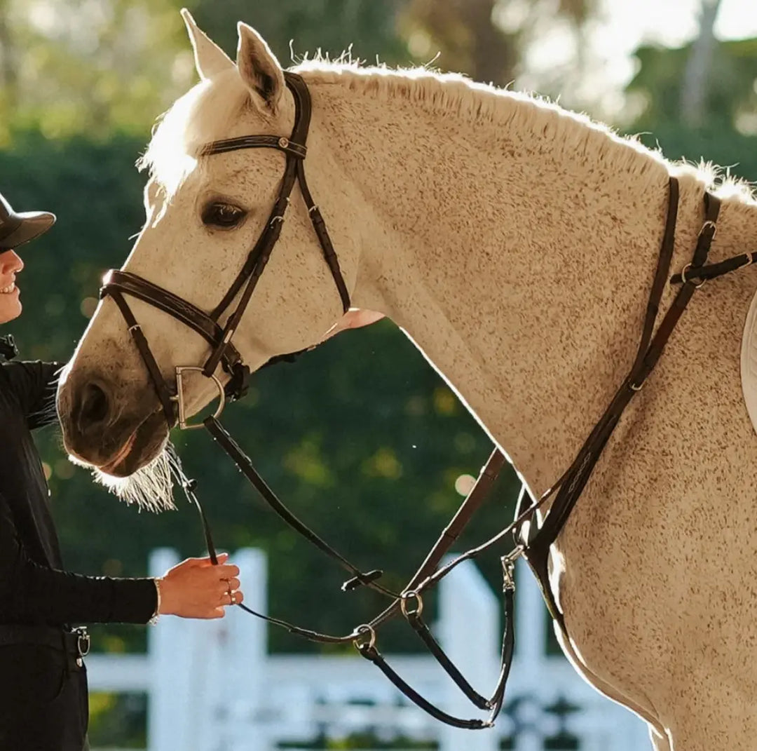 Lumiere Victory 3-Point Leather Breastplate