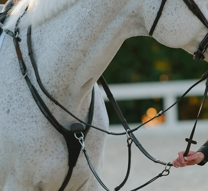 Lumiere Victory 3-Point Leather Breastplate