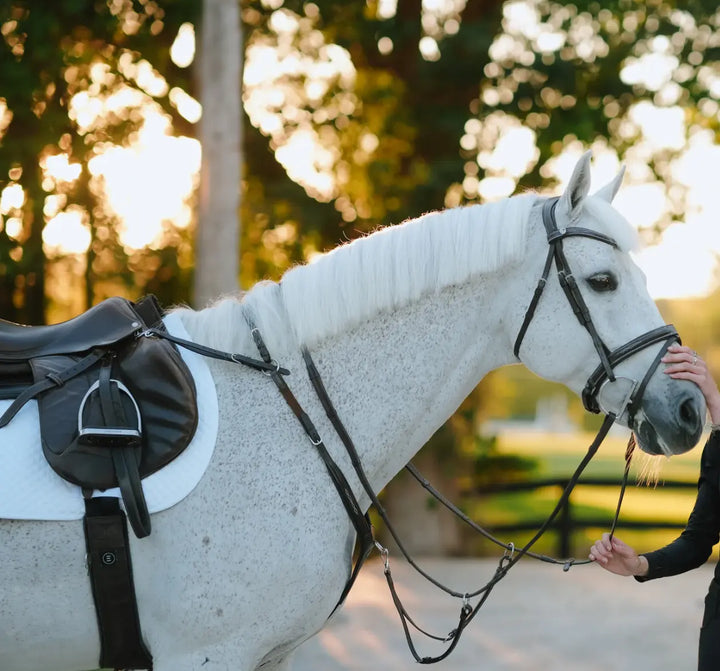 Lumiere Victory 3-Point Leather Breastplate
