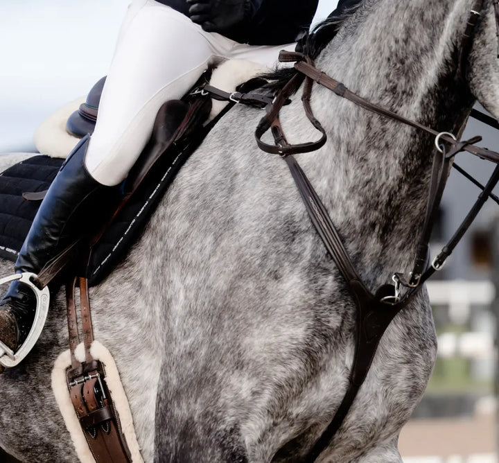 Lumiere Victory 3-Point Leather Breastplate