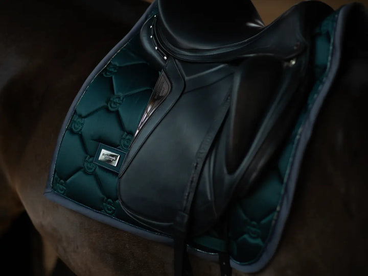 ESDM#type_dressage