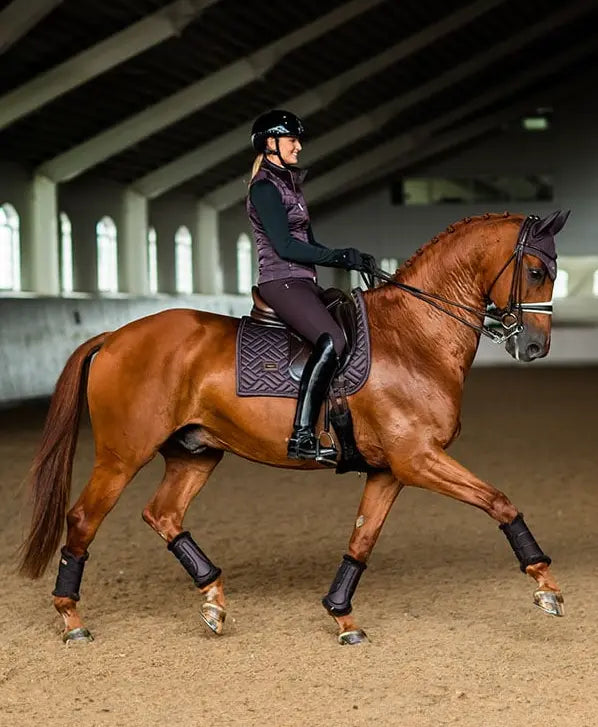 ESMN#type_dressage