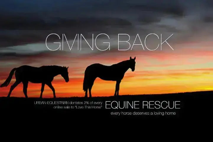 Horse Girl - Equestrian Dog Tag Necklace in Gold URBAN-EQUESTRIAN