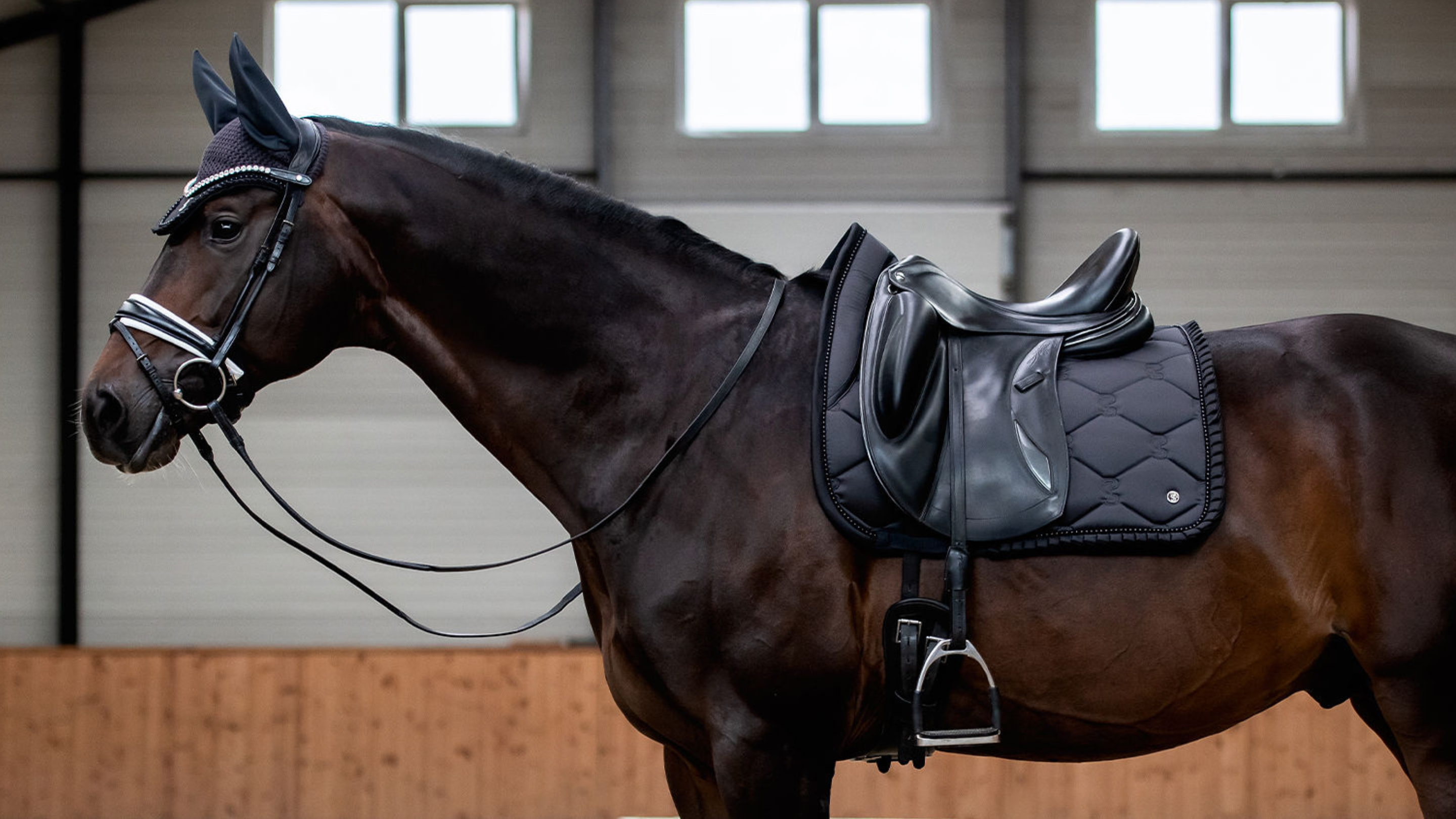 Ride or Die Equestrian Shop Commnunity Live Sales RIDE OR DIE