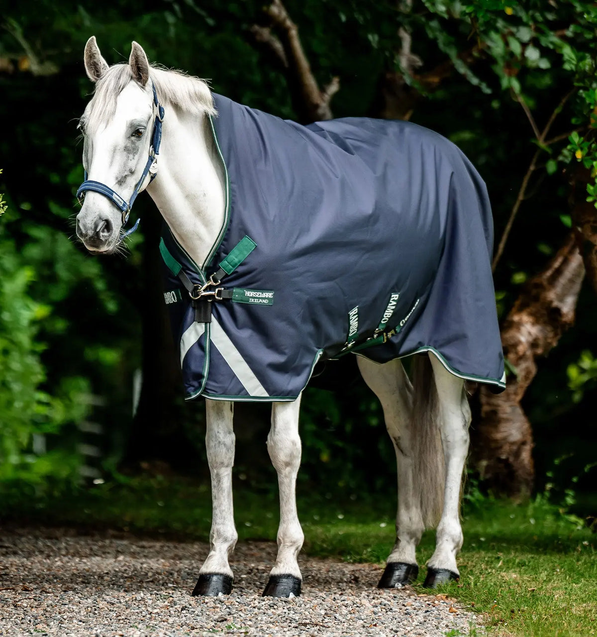 RamboWug#color_navy-hunter-green-silver