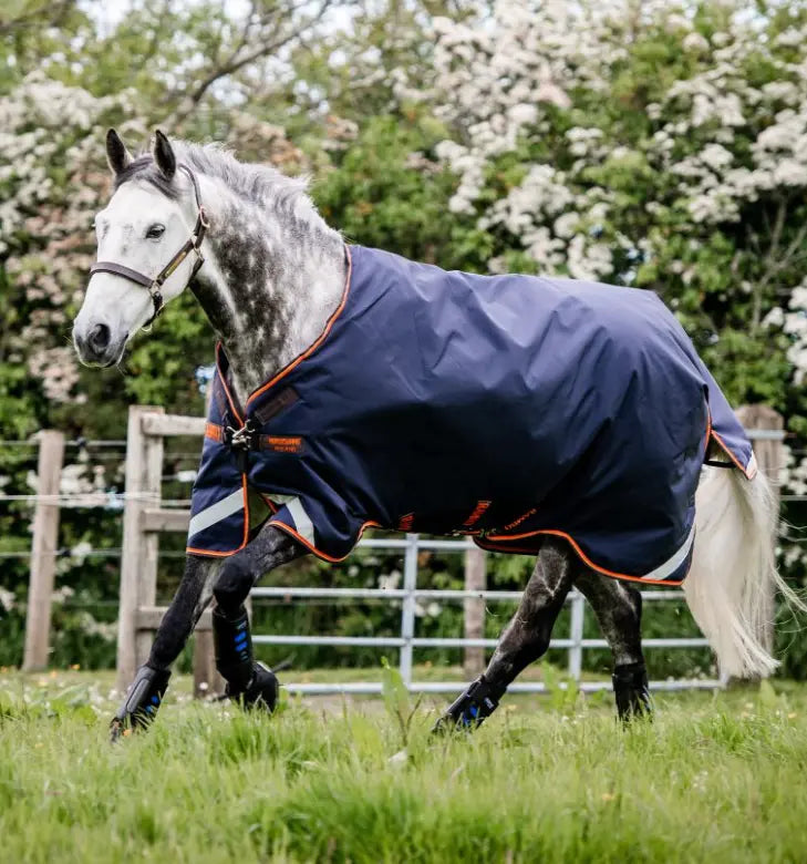 Rambo Original Turnout Rug - 100g Horseware