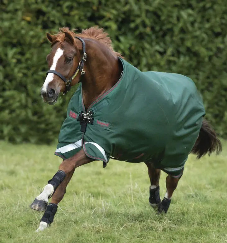 Rambo Original Turnout Rug - 100g Horseware