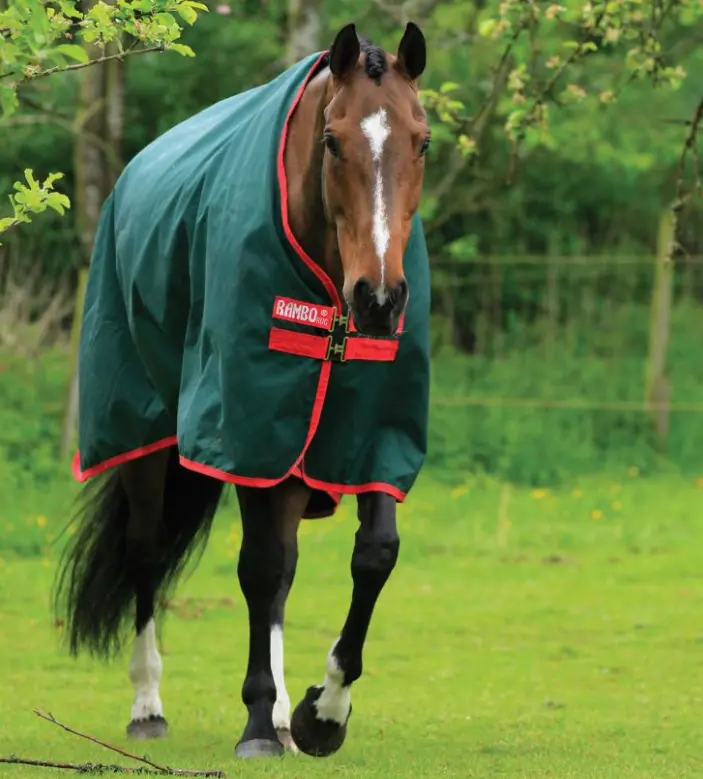 rambooriginal#color_hunter-green-with-red