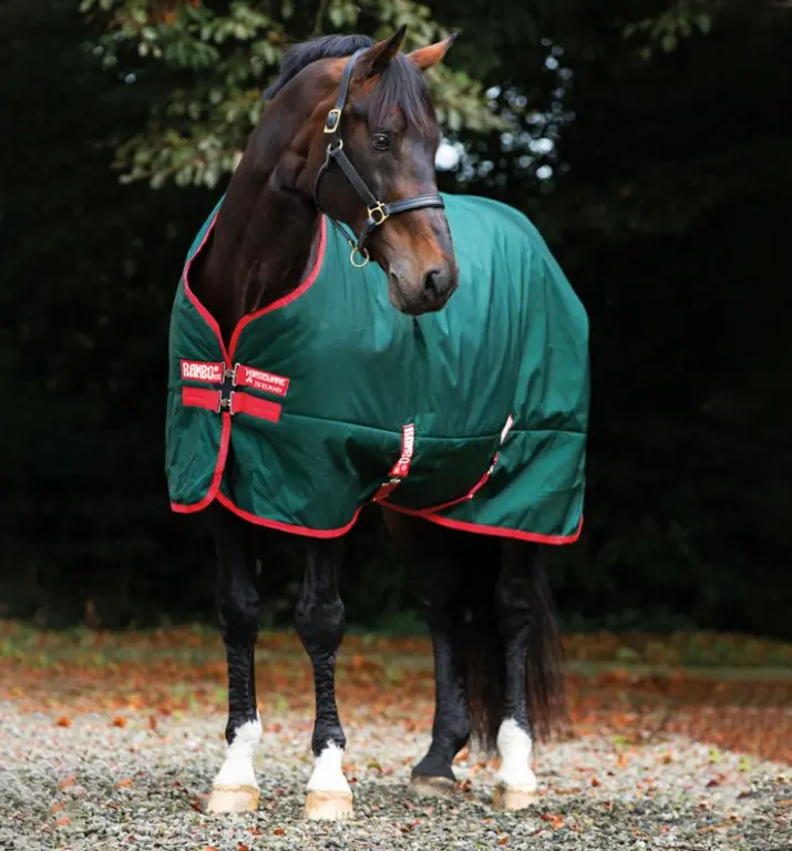 rambooriginal#color_hunter-green-with-red