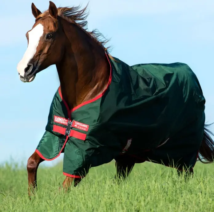 rambooriginal#color_hunter-green-with-red