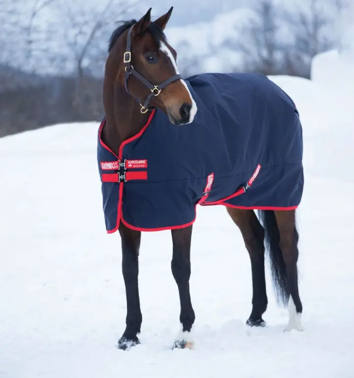 rambooriginal#color_navy-with-red