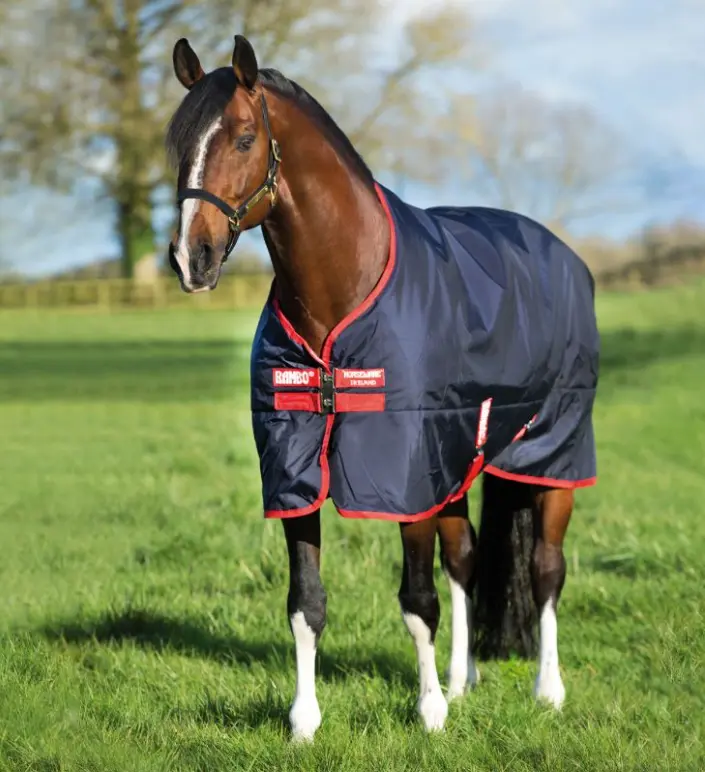 rambooriginal#color_navy-with-red