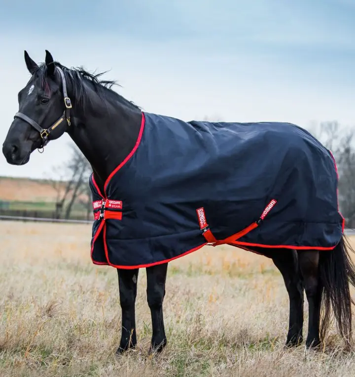 rambooriginal#color_navy-with-red