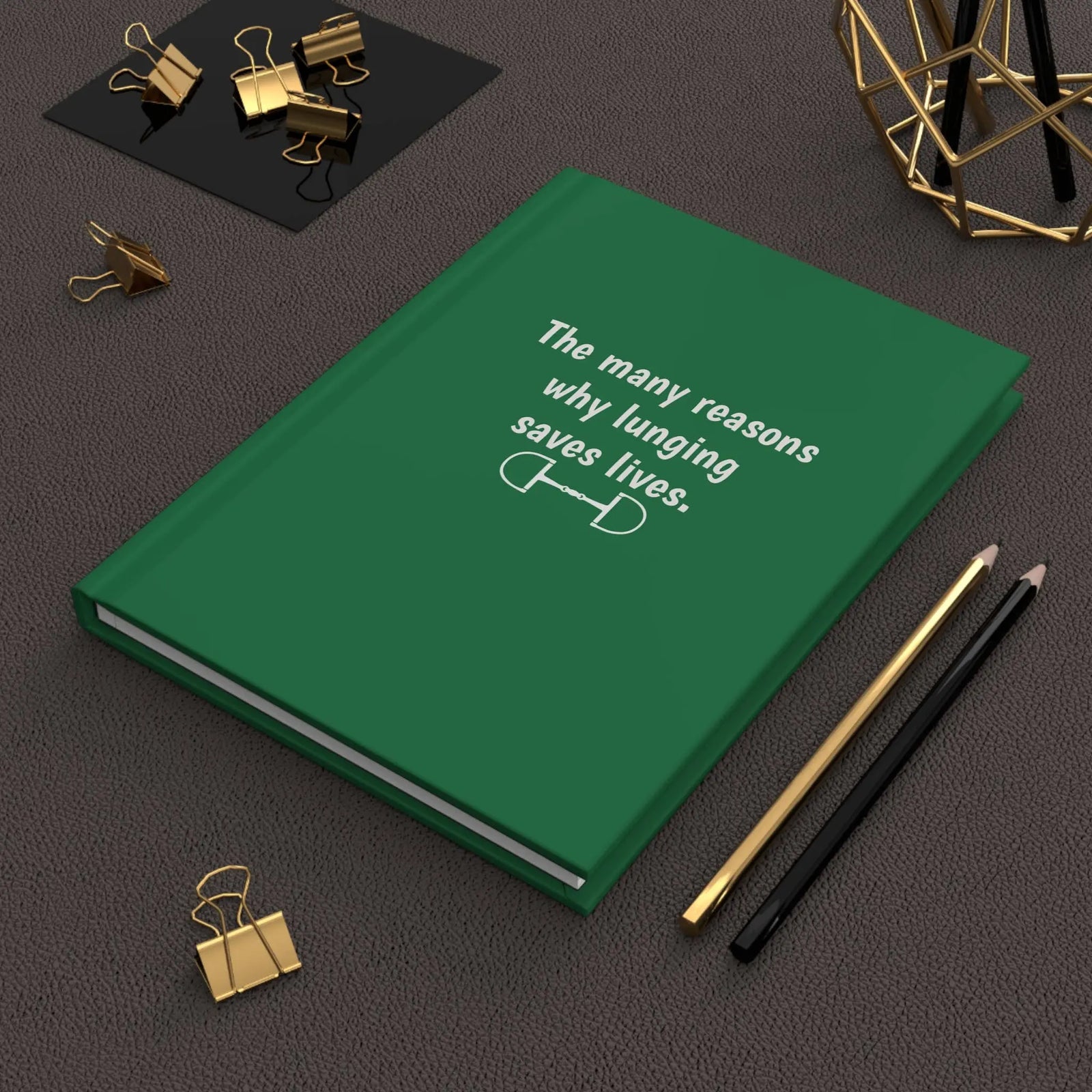 Reasons Why Lunging Saves Lives | Equestrian Notebook Equine & Design, LLC