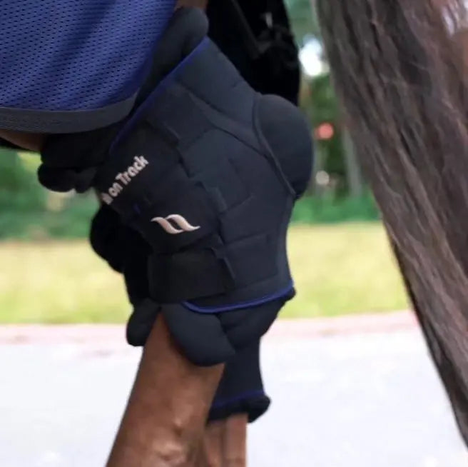 Royal Padded Hock Boots Deluxe Back on Track