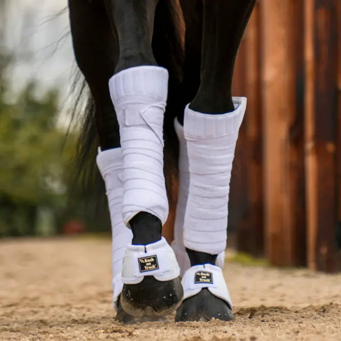 Scandic PK Wraps with Welltex Back on Track