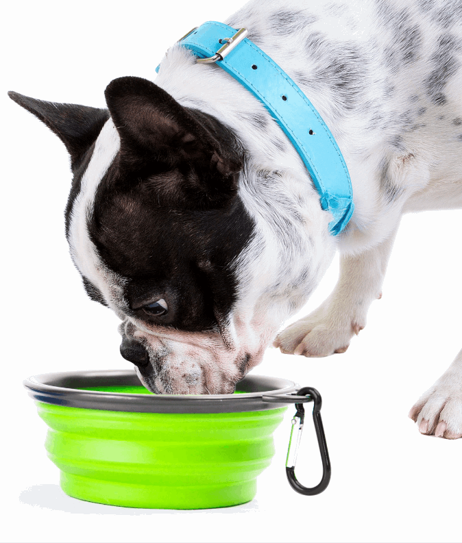 Pupware™ Collapsible Doggie Dish