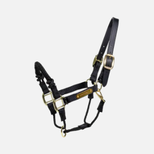 Control Halter