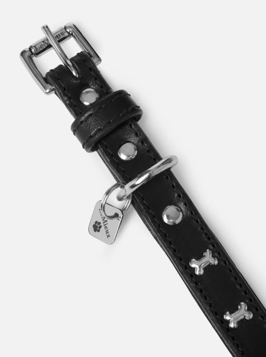 LeMieux Chelsea Dog Collar