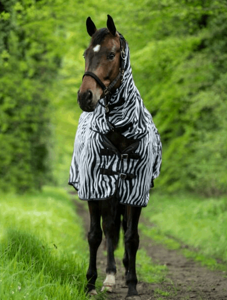 HKM Zebra Attached Full Neck Fly Sheet