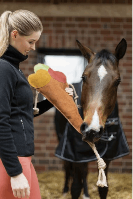 Ice Cream Stall Toy For Horses