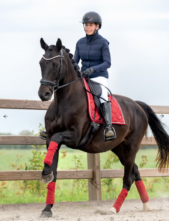 Signature Dressage Pad  - Chilli Red