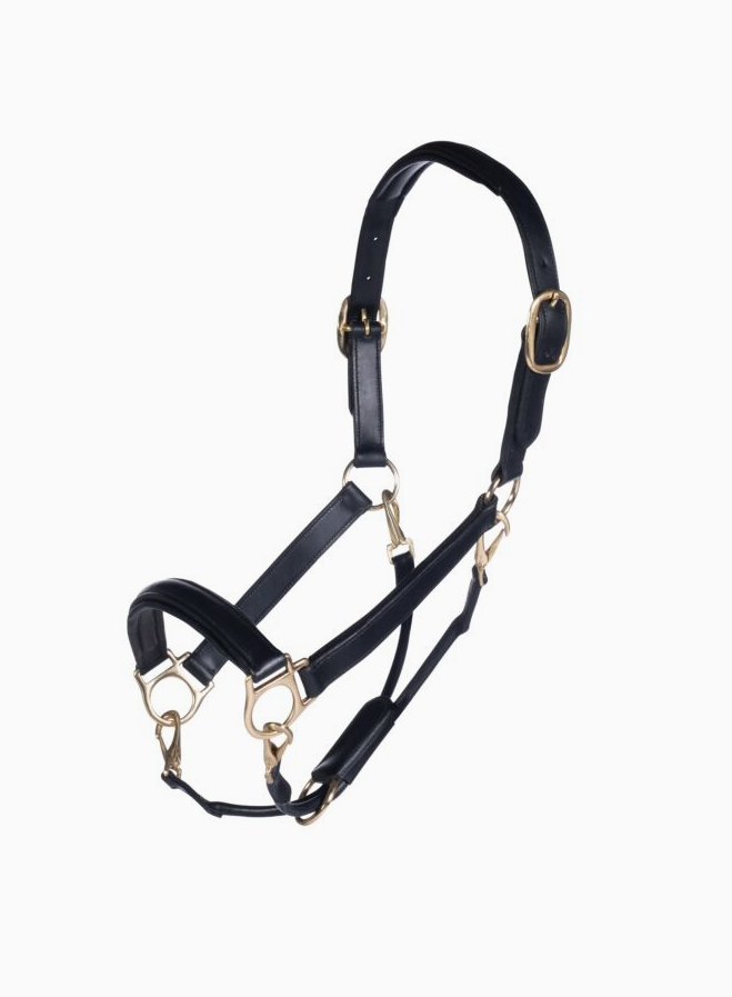 HKM Black Padded Leather with Gold Halter